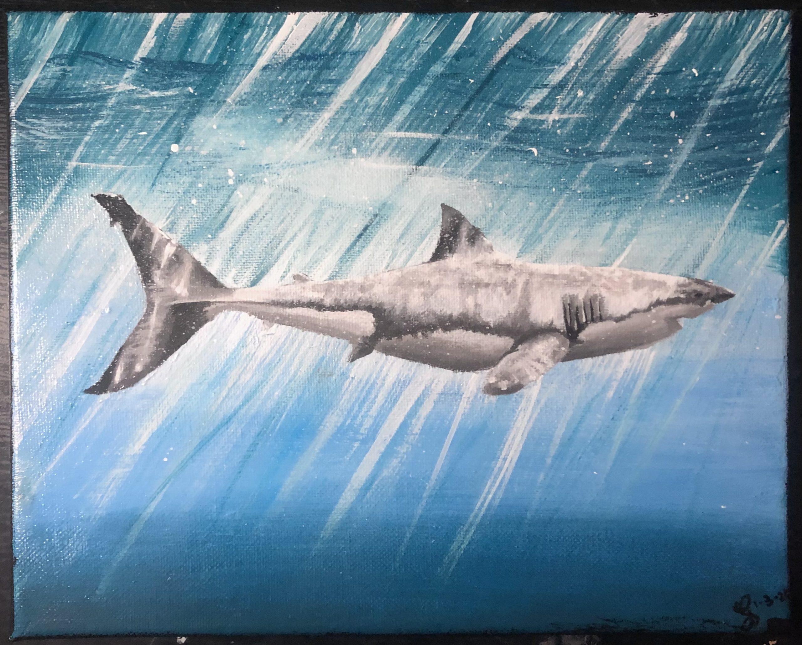 Shark Painting