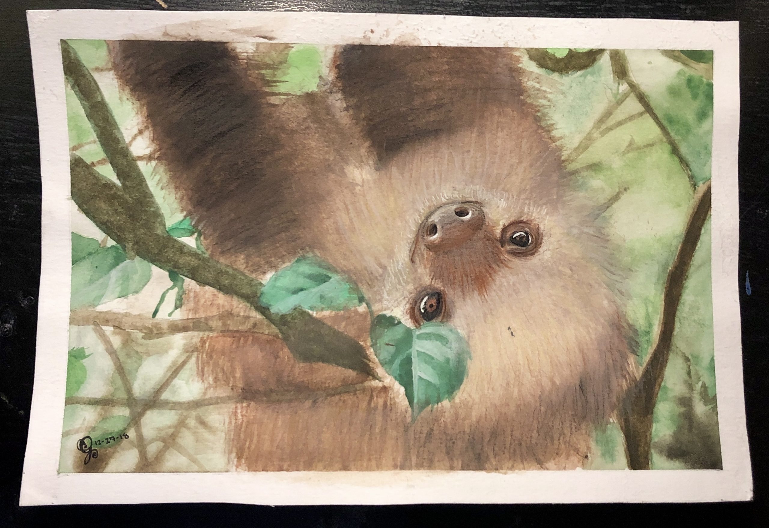 Sloth Painting